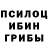 Псилоцибиновые грибы Psilocybe Andrey Marevo