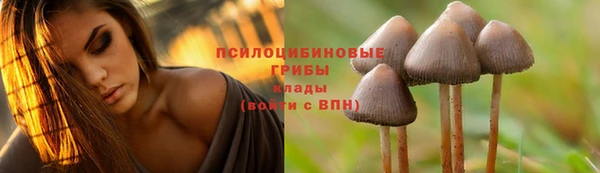 spice Волоколамск