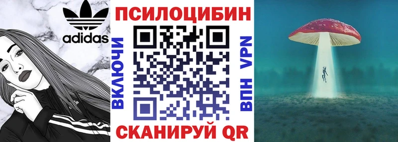 Галлюциногенные грибы GOLDEN TEACHER  Купить закладки  Асино 